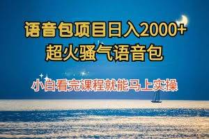 （12734期）语音包项目 日入2000+ 超火骚气语音包小白看完课程就能马上实操